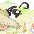 illustration