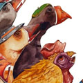 illustration